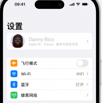 杂多appleID维修服务iPhone设置中Apple ID显示为灰色无法使用 