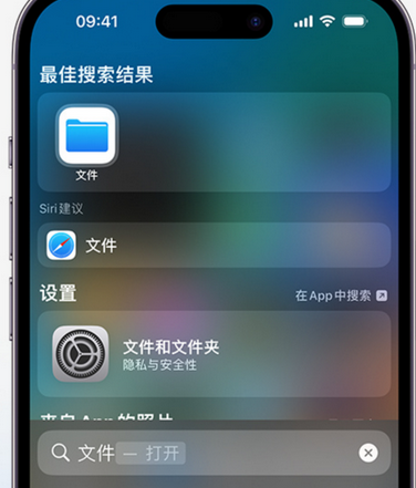 杂多apple维修中心分享iPhone文件应用中存储和找到下载文件 