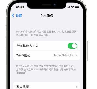 杂多apple服务站点分享iPhone上个人热点丢失了怎么办 