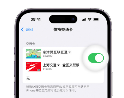 杂多apple维修点分享iPhone上更换Apple Pay快捷交通卡手绘卡面 