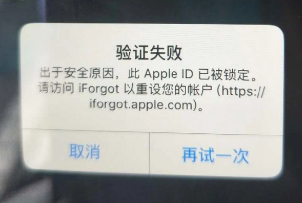 杂多iPhone维修分享iPhone上正常登录或使用AppleID怎么办 