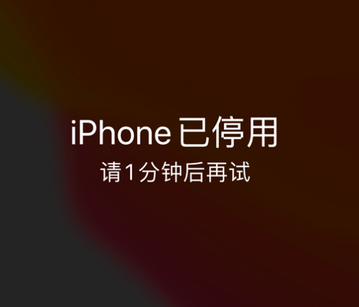 杂多苹果手机维修分享:iPhone 显示“不可用”或“已停用”怎么办？还能保留数据吗？ 