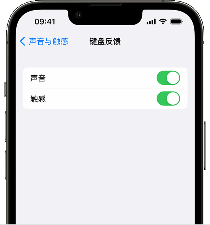 杂多苹果14维修店分享如何在 iPhone 14 机型中使用触感键盘 