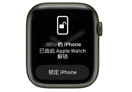 杂多苹果手机维修分享用 AppleWatch 解锁配备面容 ID 的 iPhone方法 