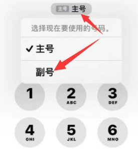 杂多苹果14维修店分享iPhone 14 Pro Max使用副卡打电话的方法 