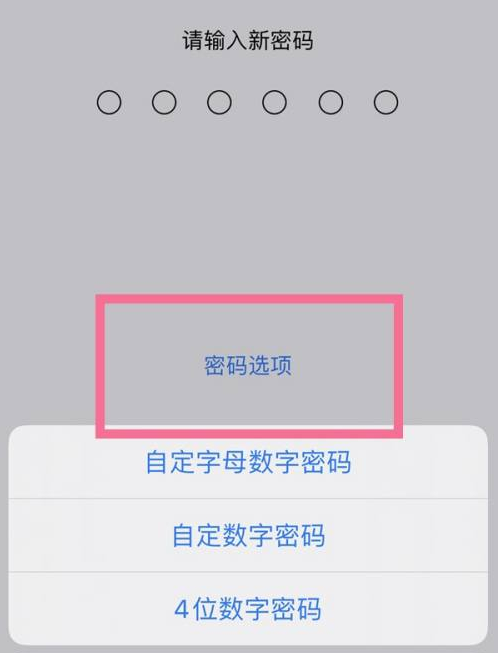 杂多苹果14维修分享iPhone 14plus设置密码的方法 