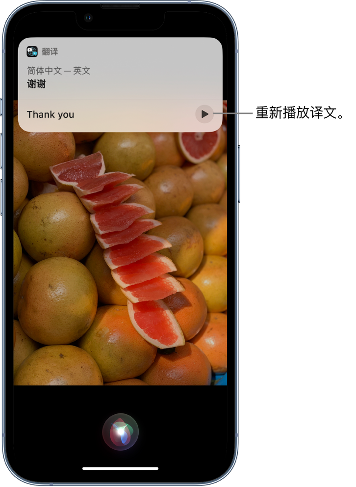 杂多苹果14维修分享 iPhone 14 机型中使用 Siri：了解 Siri 能帮你做什么 