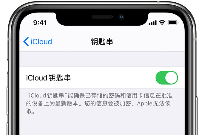 杂多苹果手机维修分享在 iPhone 上开启 iCloud 钥匙串之后会储存哪些信息 