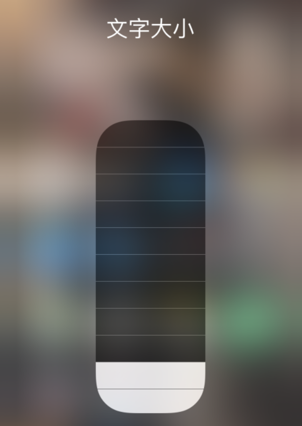 杂多苹果手机维修分享小技巧：在 iPhone 控制中心快速调节字体大小 