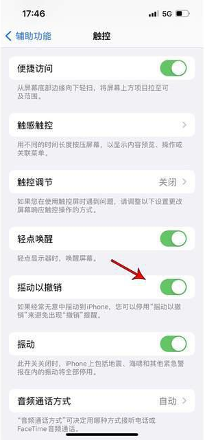 杂多苹果手机维修分享iPhone手机如何设置摇一摇删除文字 